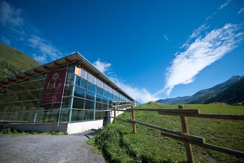 Hotel Edelweiss & Gurgl オーバーグールグル エクステリア 写真